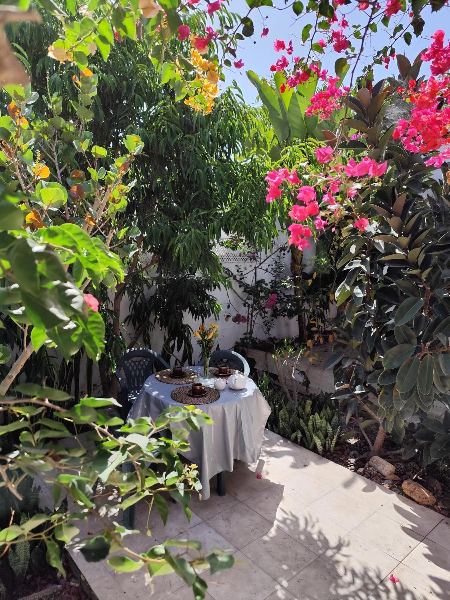 Casa Tijoco Otel Costa Adeje Dış mekan fotoğraf